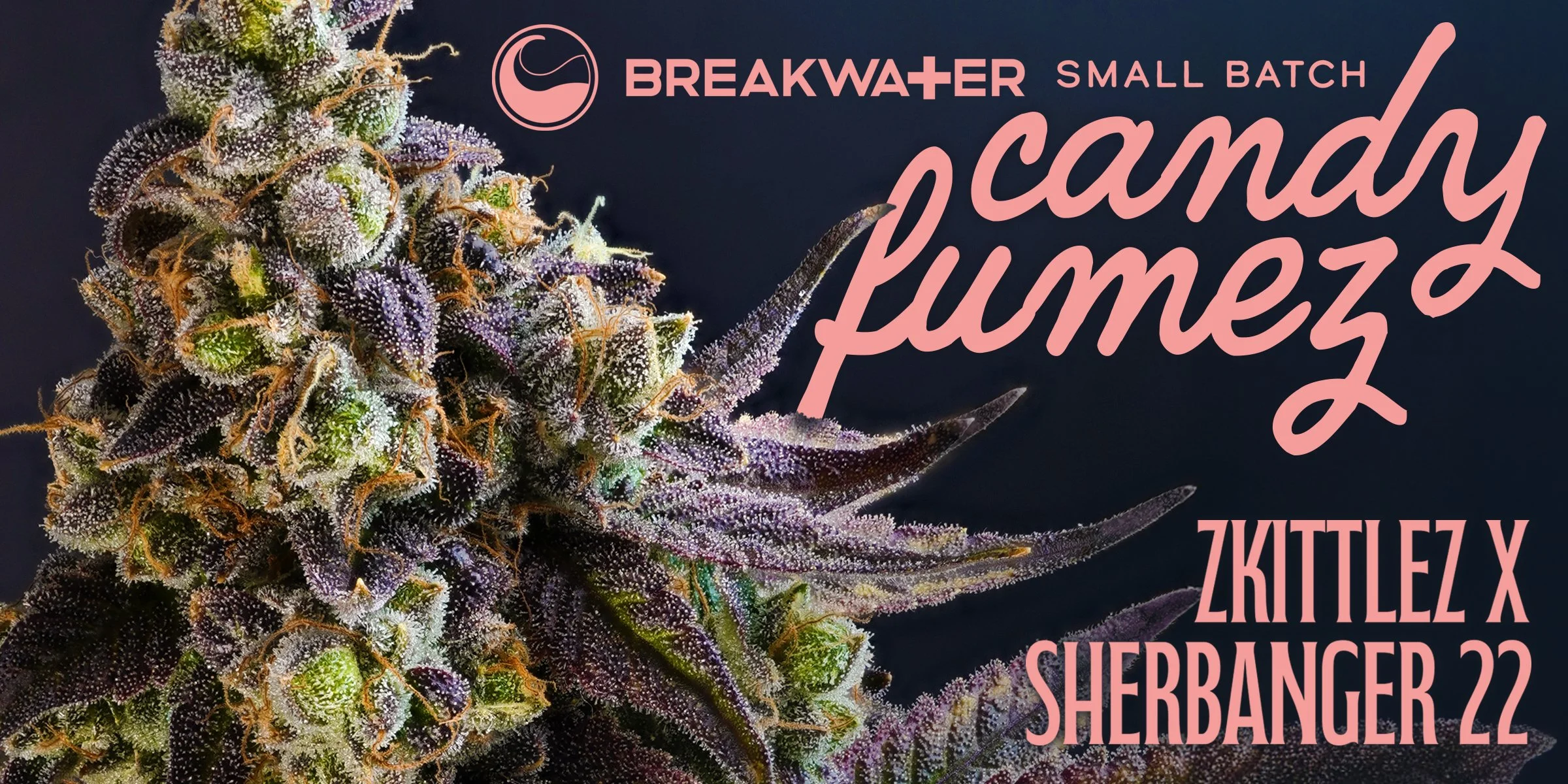 Candy Fumez - Zkittlez x Sherbanger 22