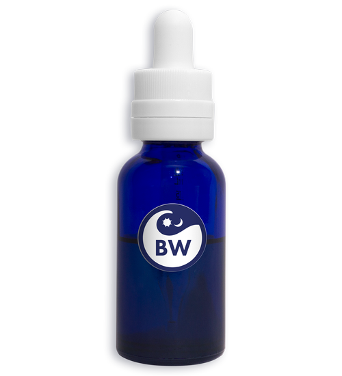 DAILY MENU CRANBURY — Breakwater Treatment & Wellness