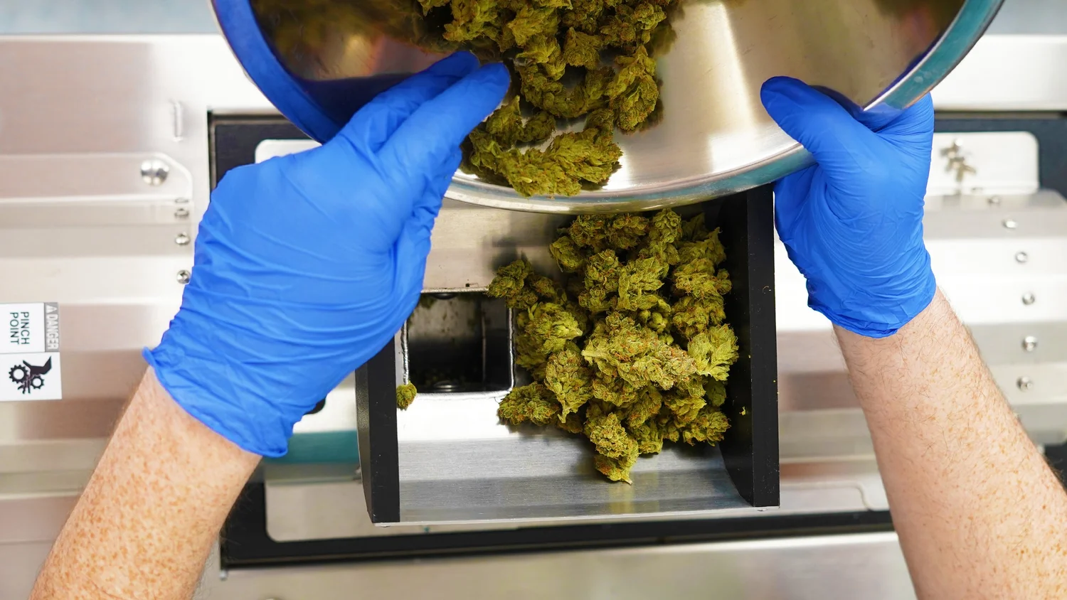 PREMIUM ROLLED JOINTS — Breakwater Treatment & Wellness