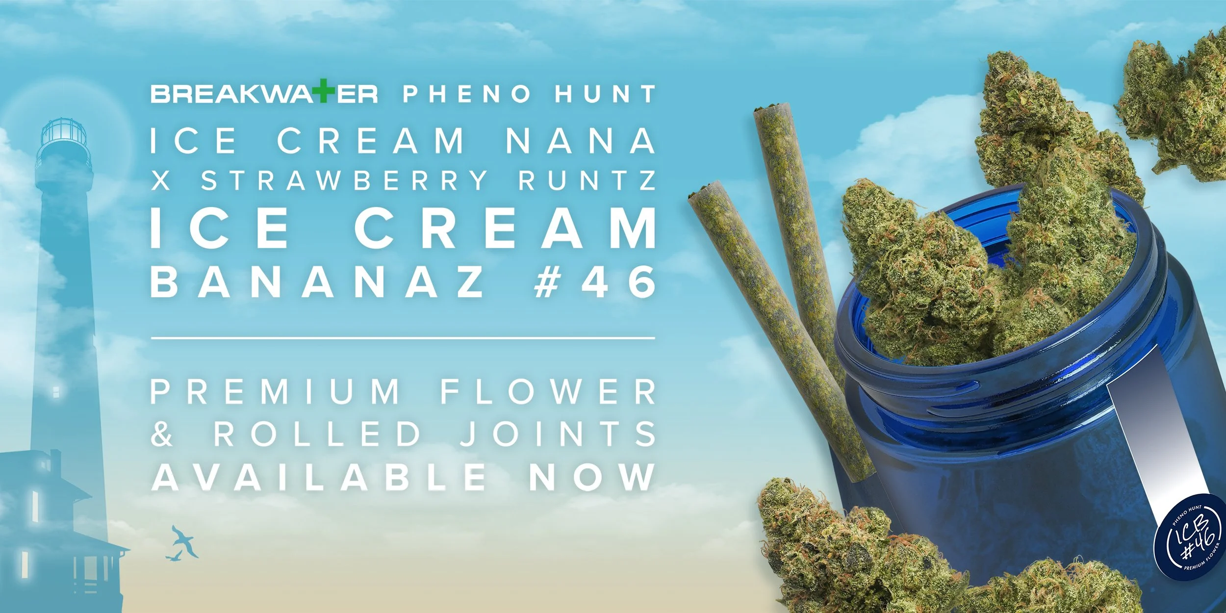 Ice Cream Bananaz 46 — Breakwater Treatment & Wellness