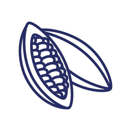 Cocoa bean icon