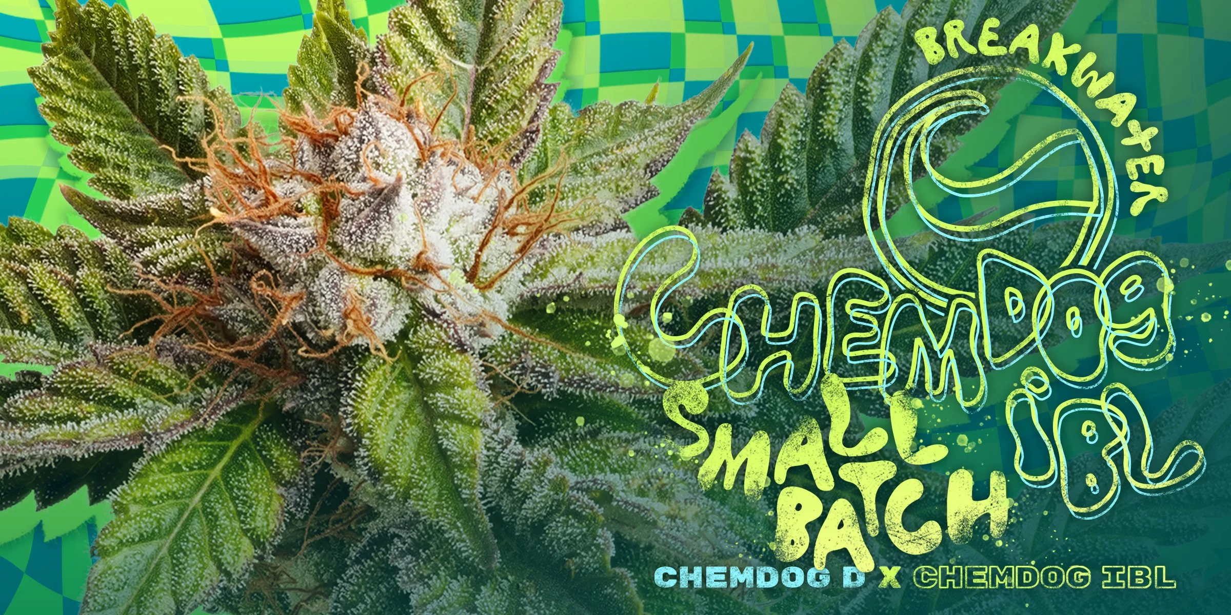 Breakwater Small Batch CHEMDOG IBL Chemdog D x Chemdog IBL