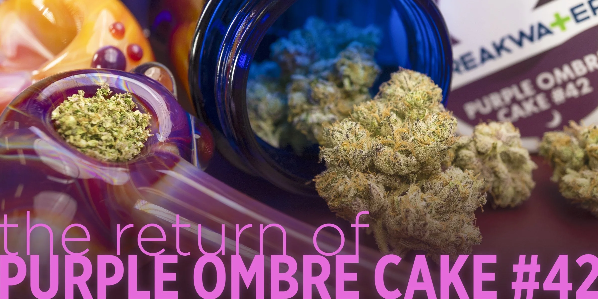 The return of Purple Ombre Cake #42
