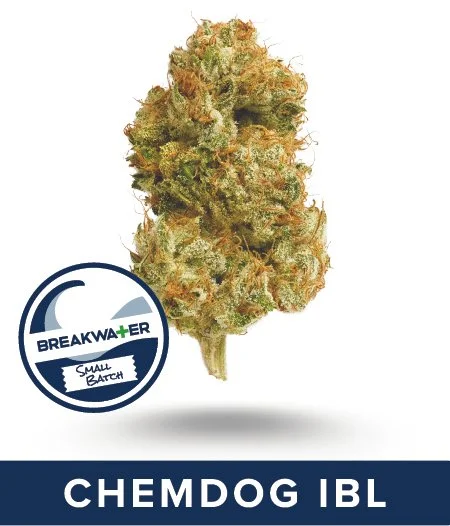 CHEMDOG IBL Premium Flower. Small Batch Strain. Link to full description.