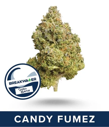 Candy Fumez Premium Flower. Small Batch Strain. Link to full description.