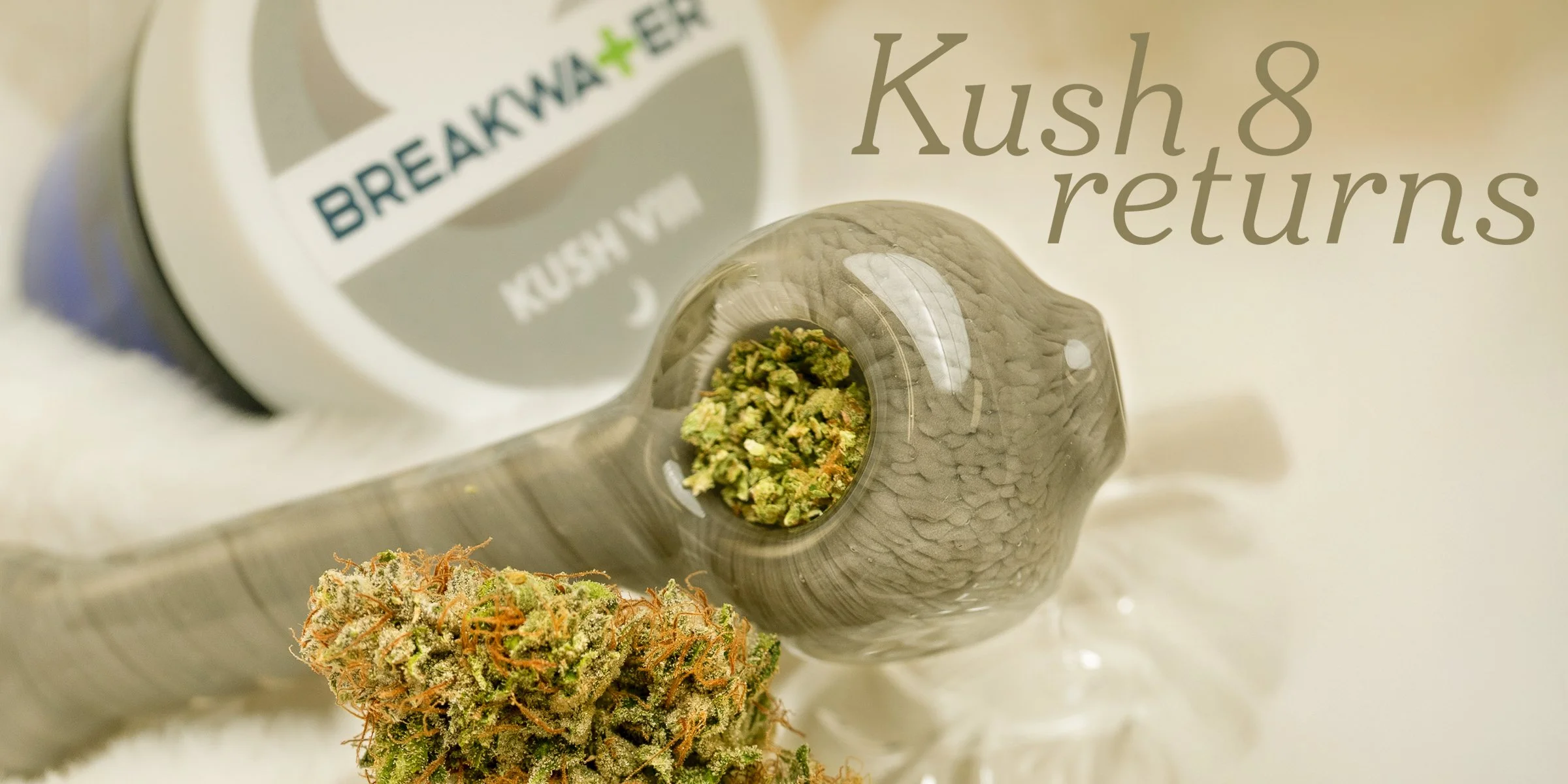 KUSH  8 RETURNS