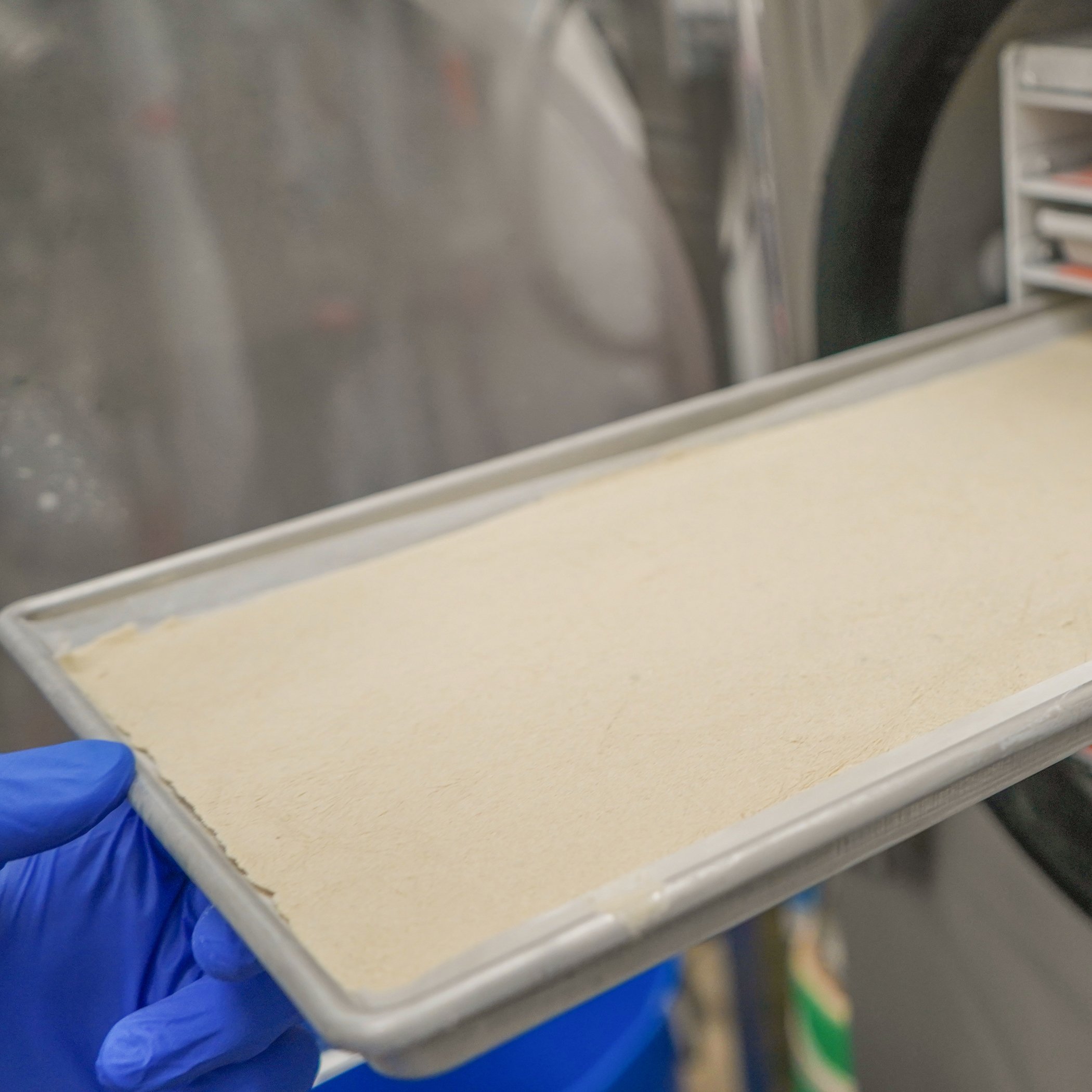 Hash being removed from the freeze drier.