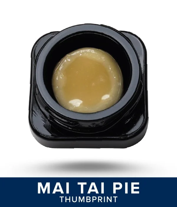 Mai Tai Pie Live Hash Rosin Thumbprint. Link to blog post.