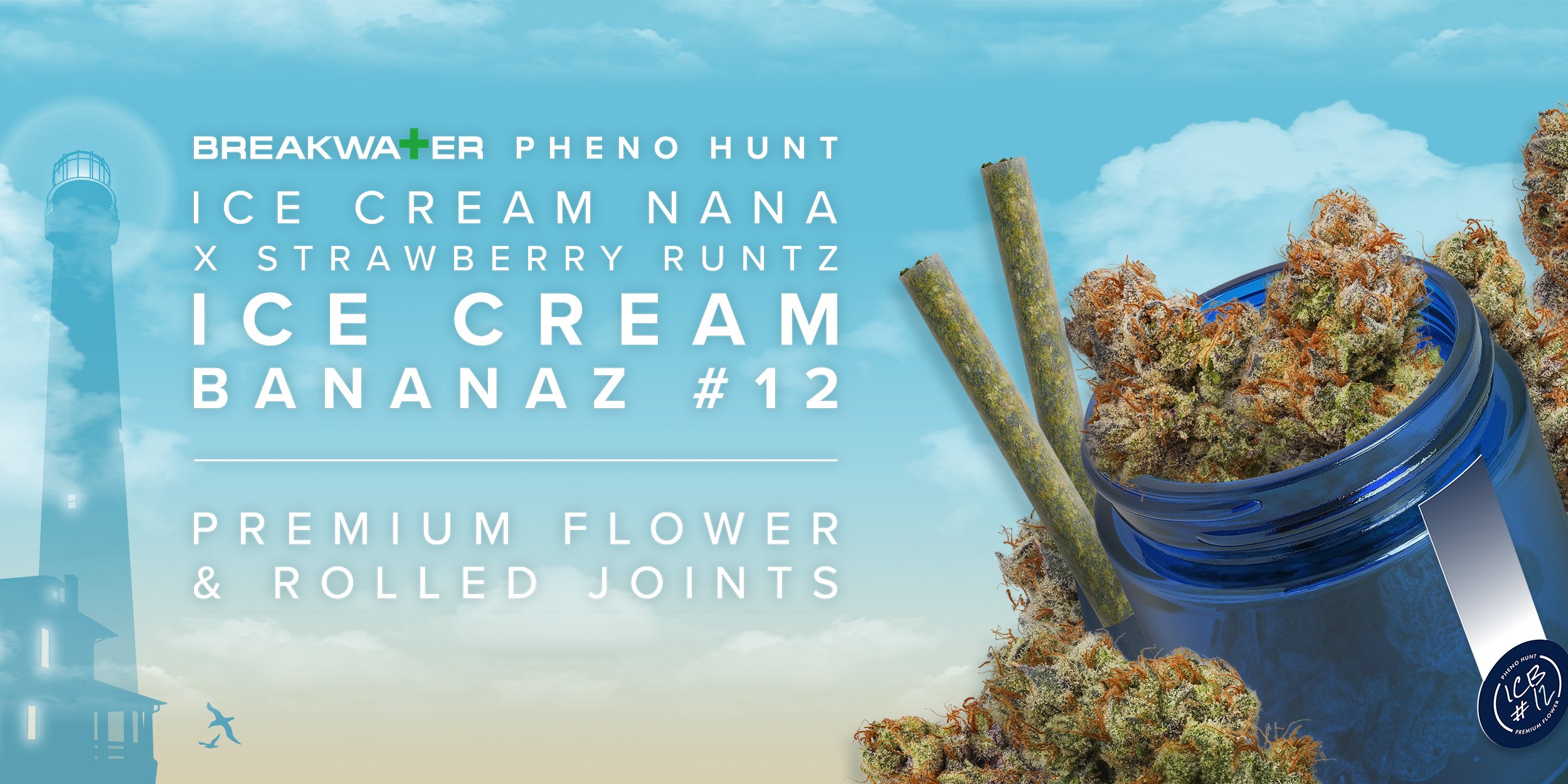 Ice Cream Bananaz #12 Premium Flower & Premium Rolled Joints