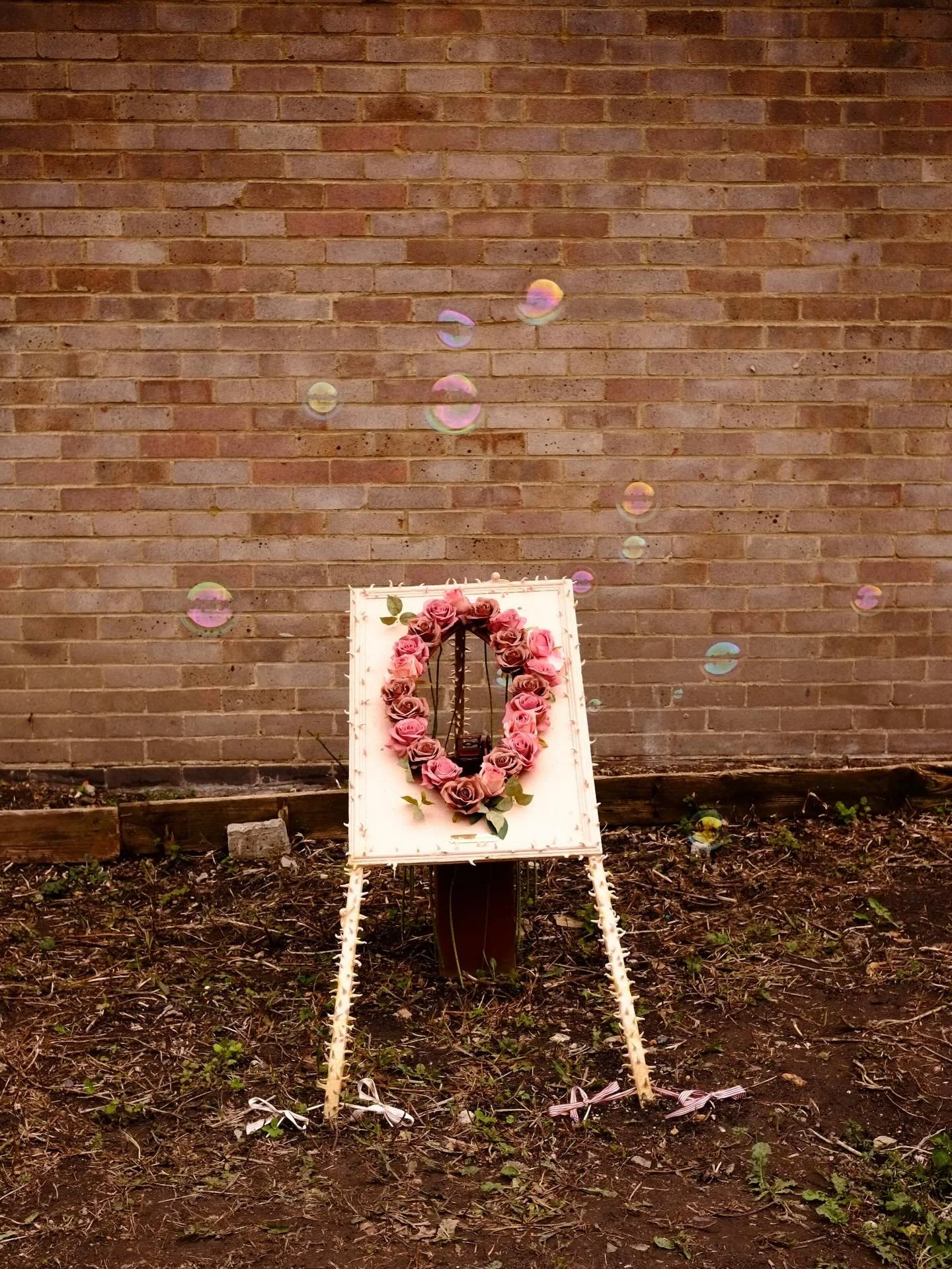 The Life Cycle of a Queef 
2026 

What an utterly joyous thing this was to make. If you would like to see my work queefing in all its glory please contact @le_jardin_project to arrange a time! ⏳Open until May 29th 📍78 Rowditch Lane, SW11 5BX