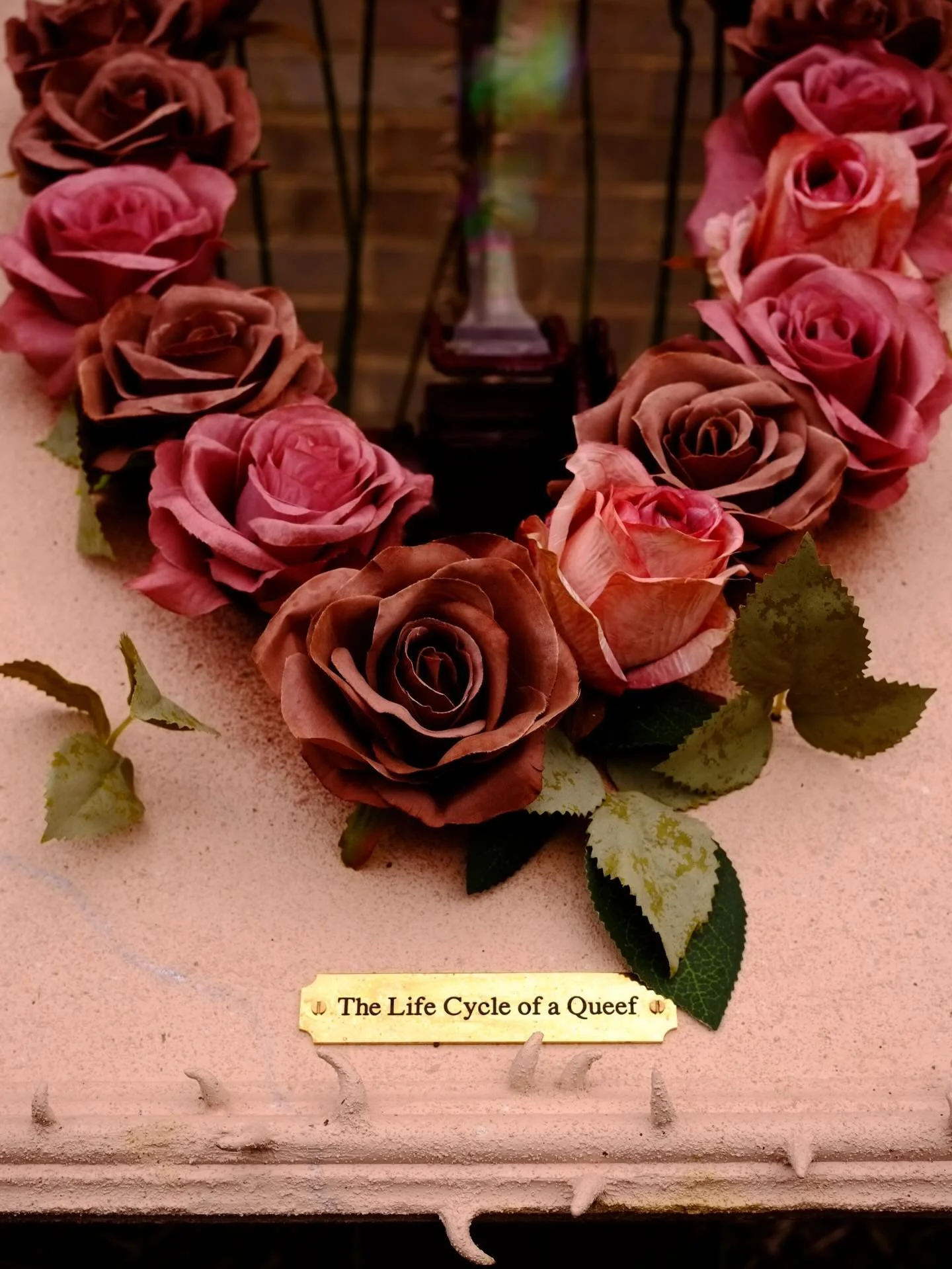 The making of 🫧 The Life Cycle of a Queef 🫧 &hellip;. Enjoy!