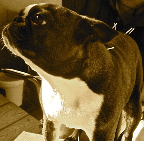 P1010354_2_2.jpeg