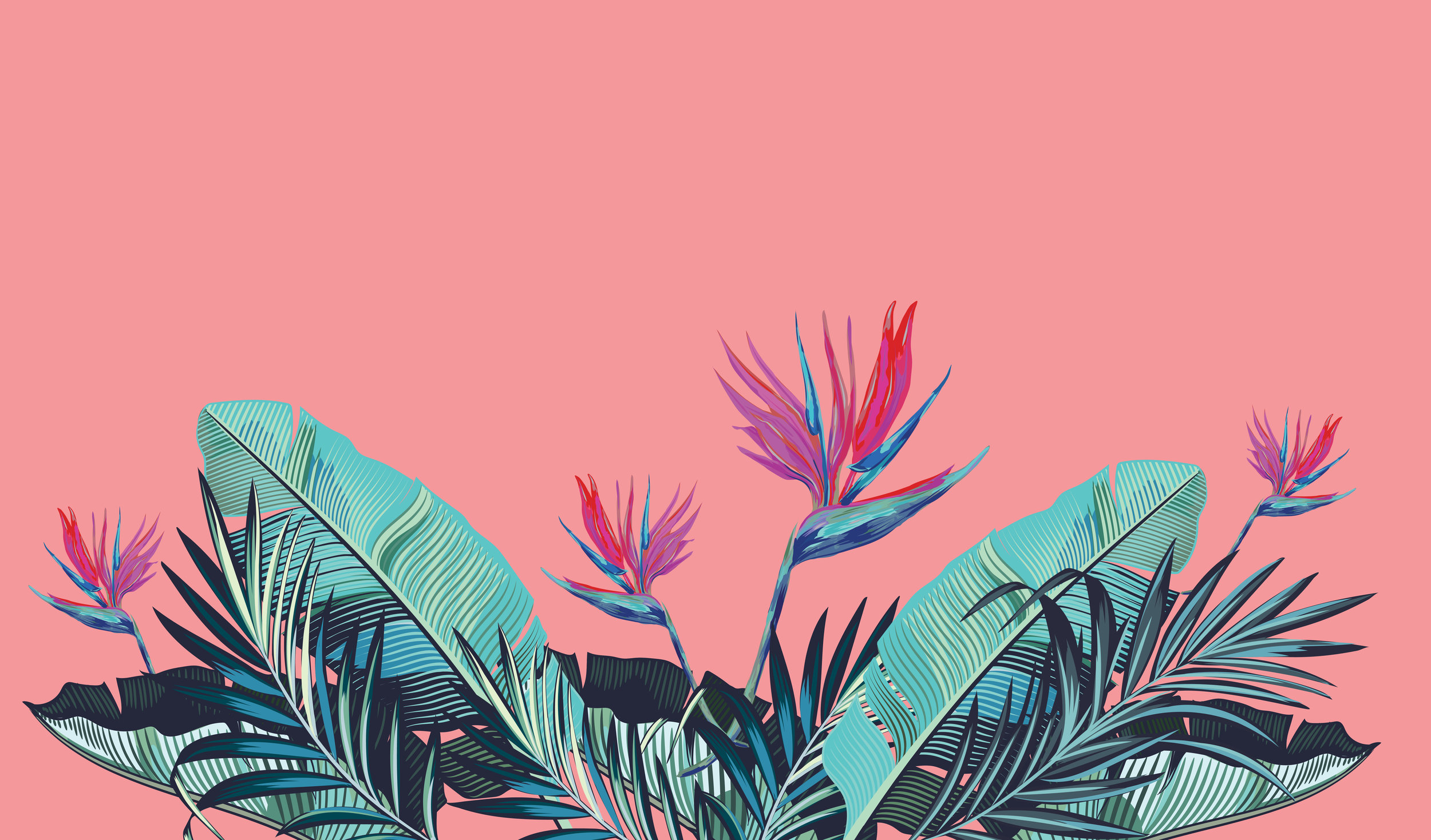 BC - bird of paradise web background-01.jpg