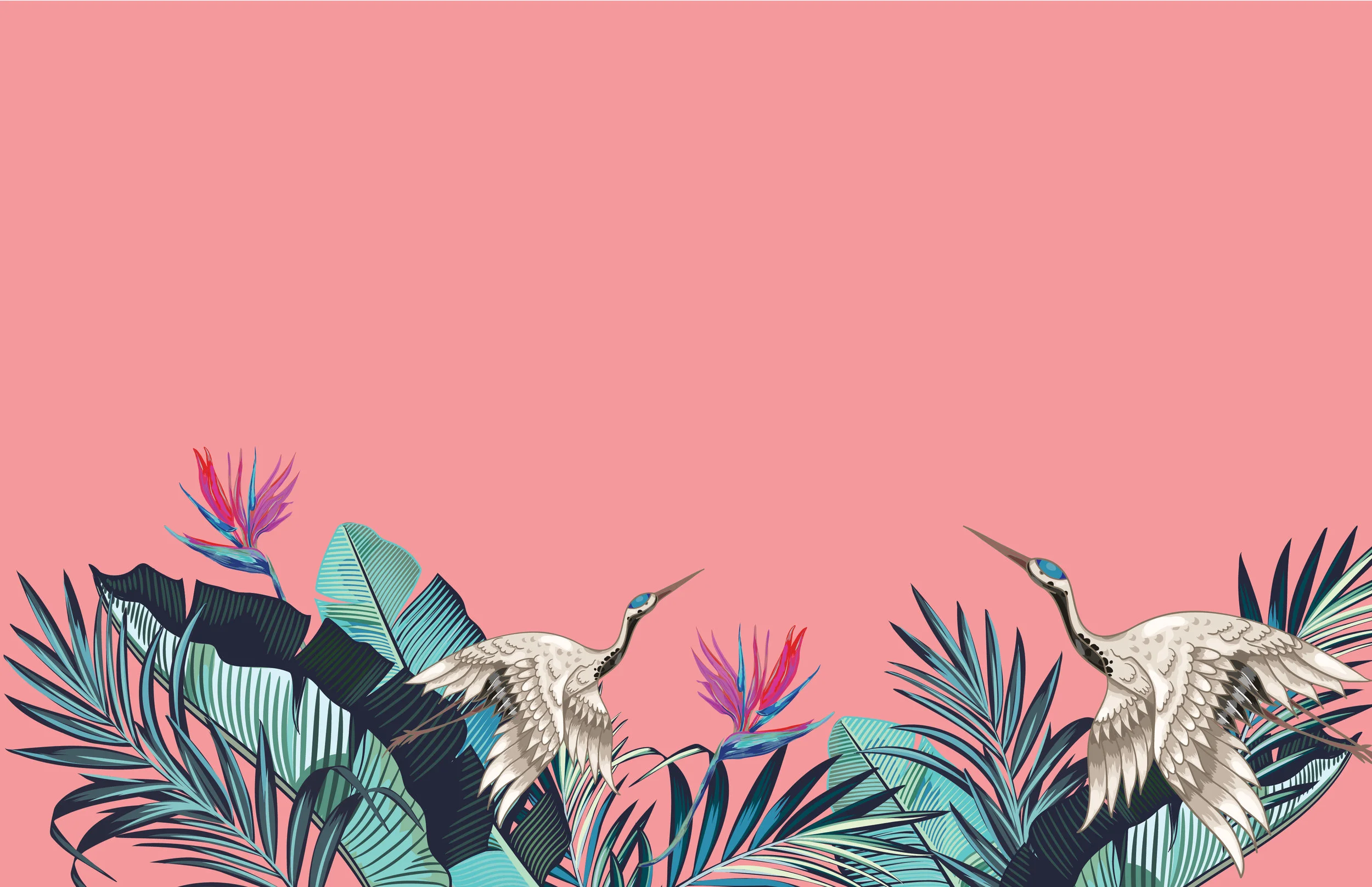 BC Web Background V2-01.jpg
