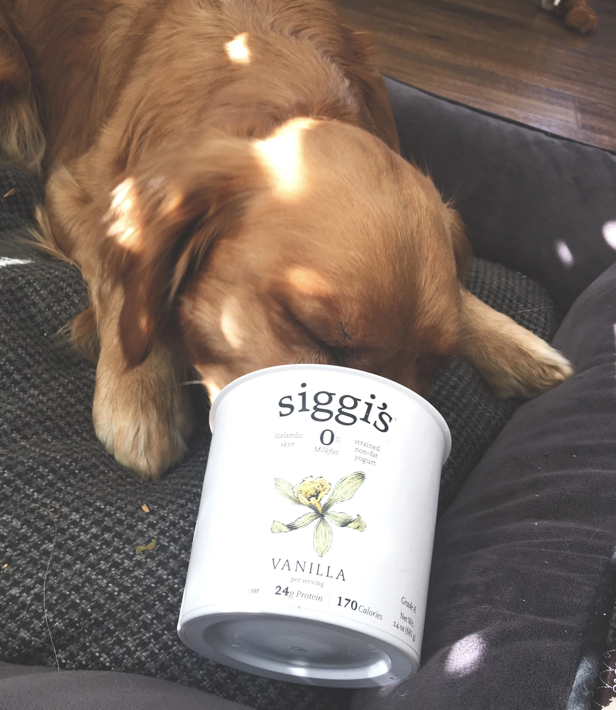 Navigating the Yogurt Aisle