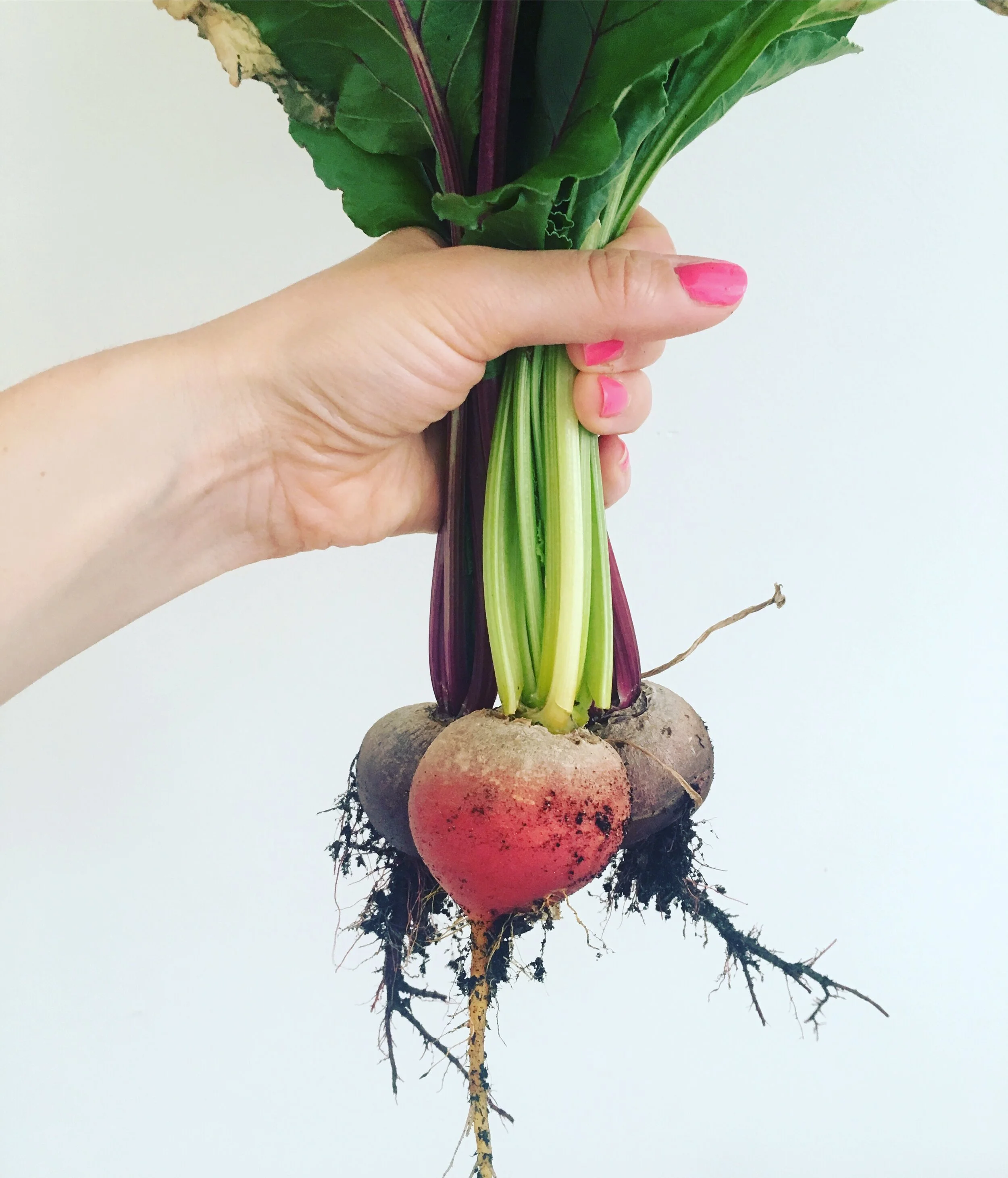 How to Start a Backyard Veggie Garden