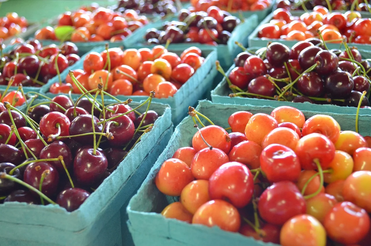 cherries.jpg