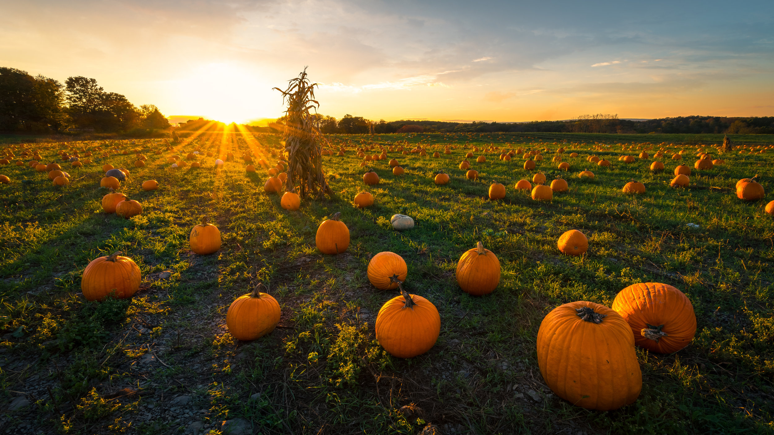 AdobeStock_176250802.jpeg