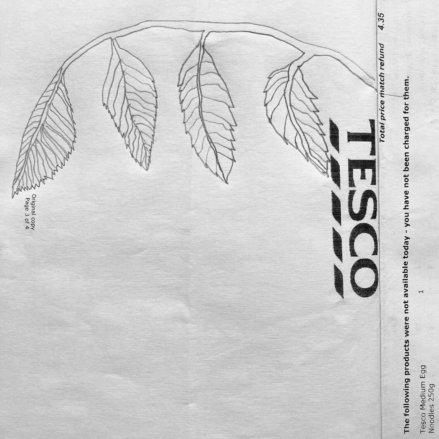 TESCO leaf.jpg