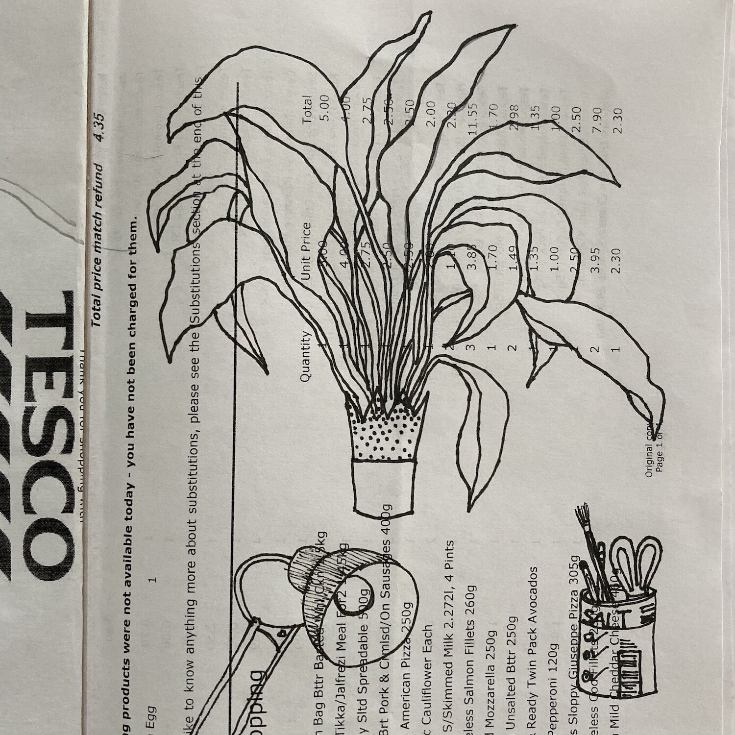 plant drawing.JPG