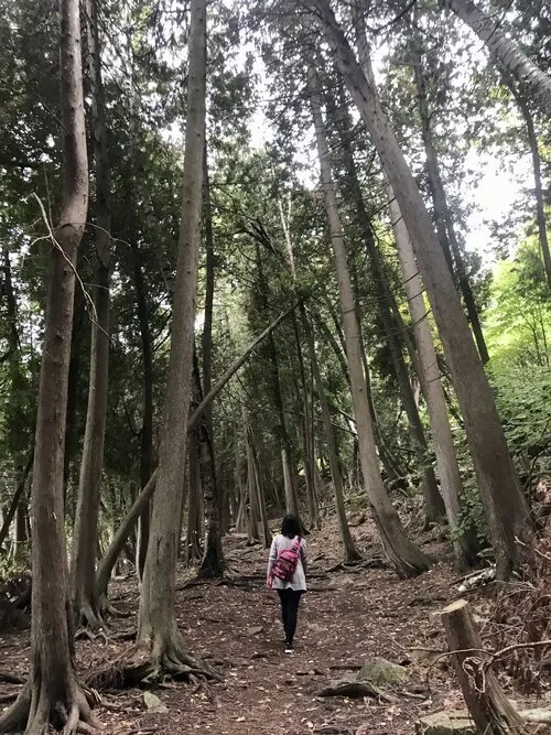 5 Life-Lessons I learned from Hiking