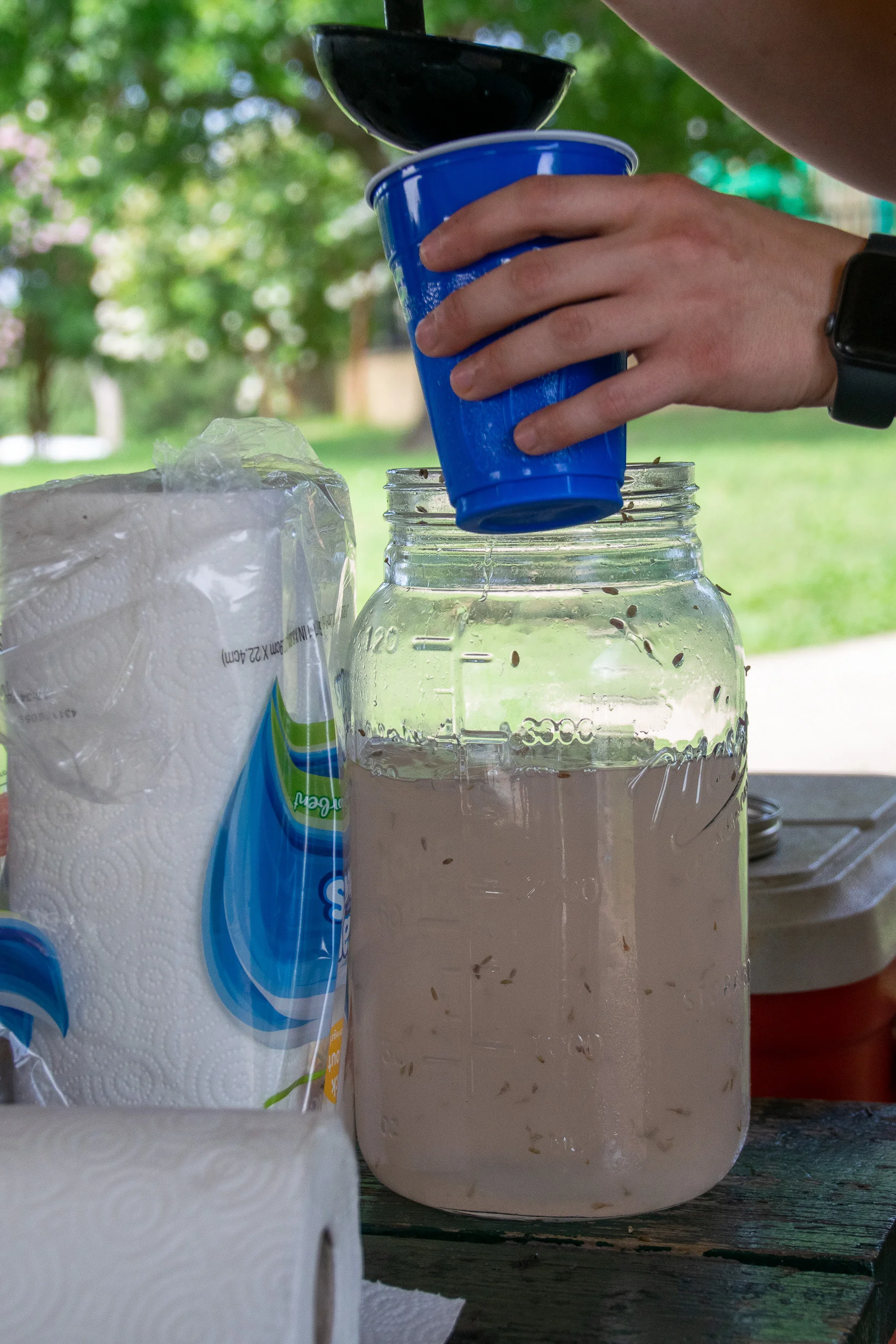 Fresh-squeezed, homemade lavender lemonade.