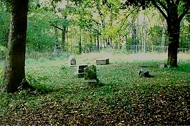 This famous photograph of Bachelors Grove cemetery by Matt Hucke (Graveyards.com) shows the bases of the two famous white cedar trees which still stand on the grounds…