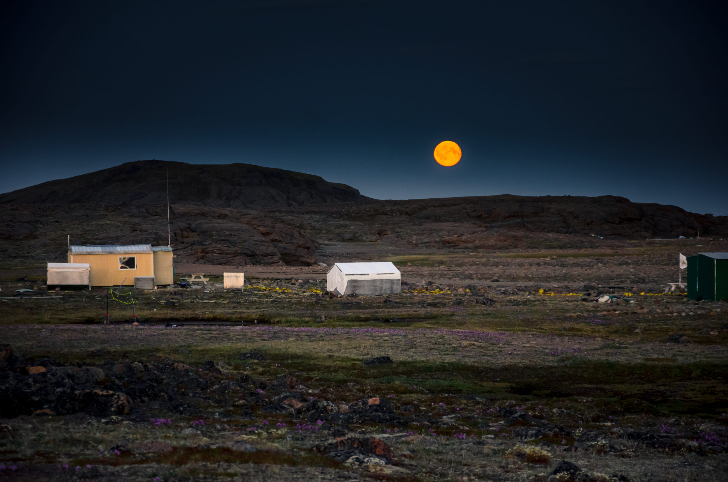 GOAL 15: Life On The Land