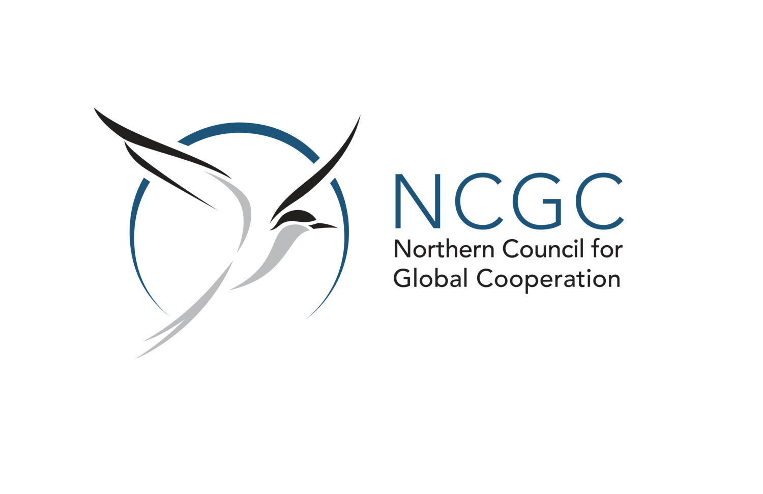 Northern Perspectives on the Sustainable Development Goals