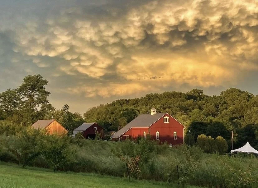 Breaking News! Lura returns to Star Bright Farm this Fall!