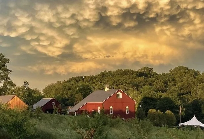 On Beauty - An Evening of Music &amp; Poetry at Star Bright Farm