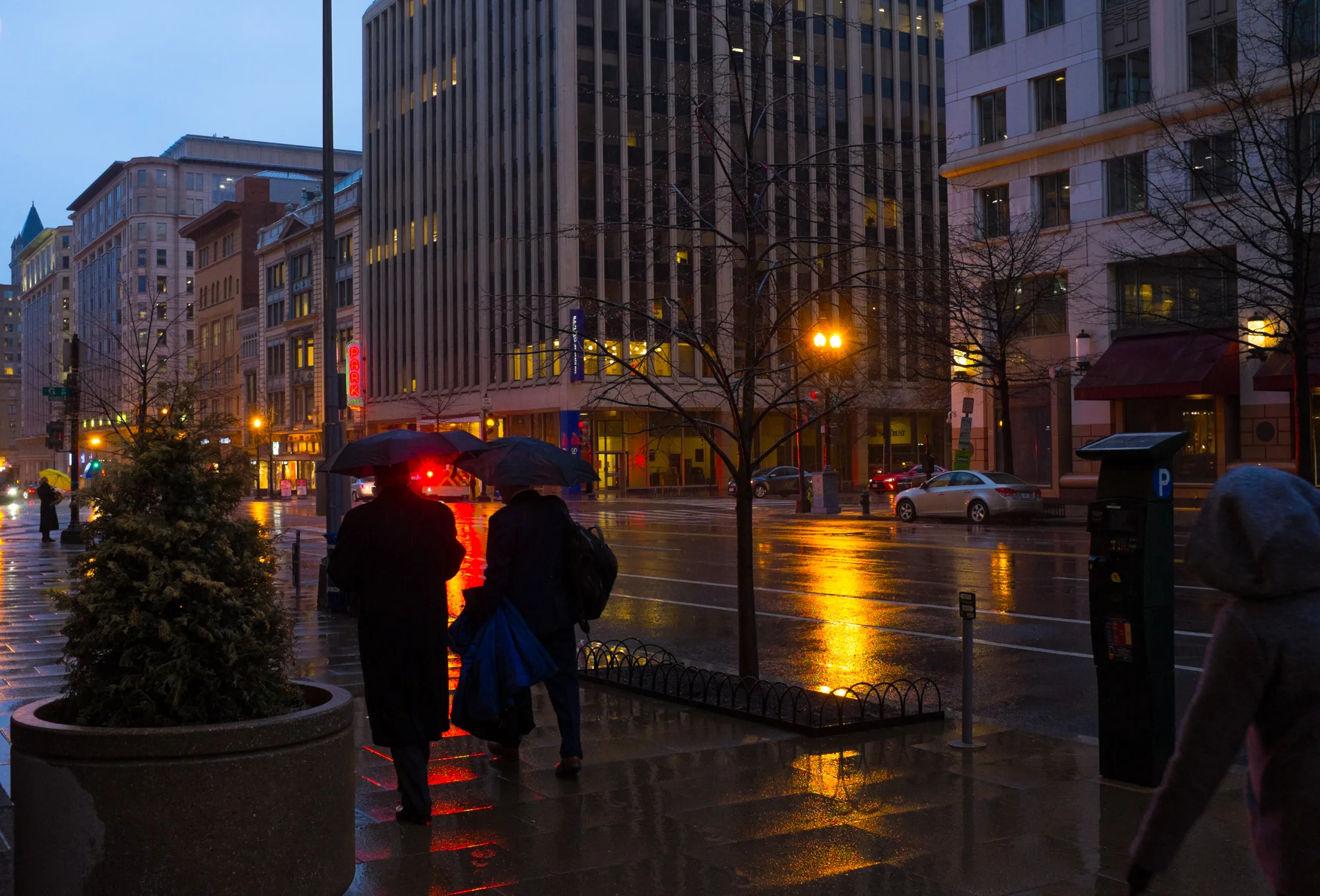 DSCF9750-2.jpg