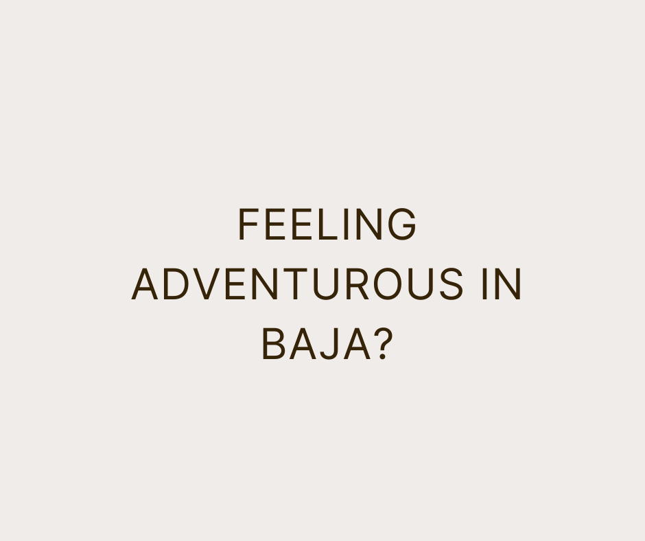 Adventures for your Destination Wedding Guests  We know why you chose Todos Santos to be your wedding destination but let’s help your guests fall in love with Todos Santos like you did.  Some guests only have a short weekend or have