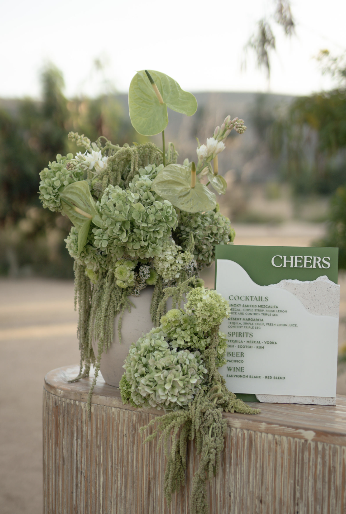 Screenshot 2026-02-26 at 11.08.28 AM.png