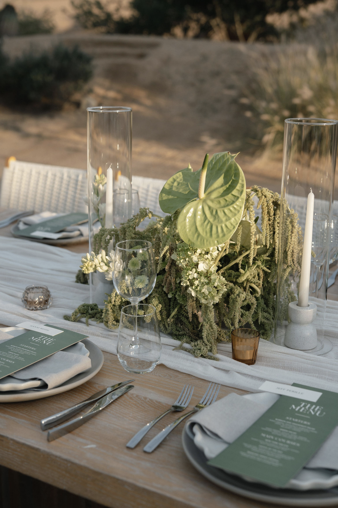 Screenshot 2026-02-26 at 11.08.10 AM.png