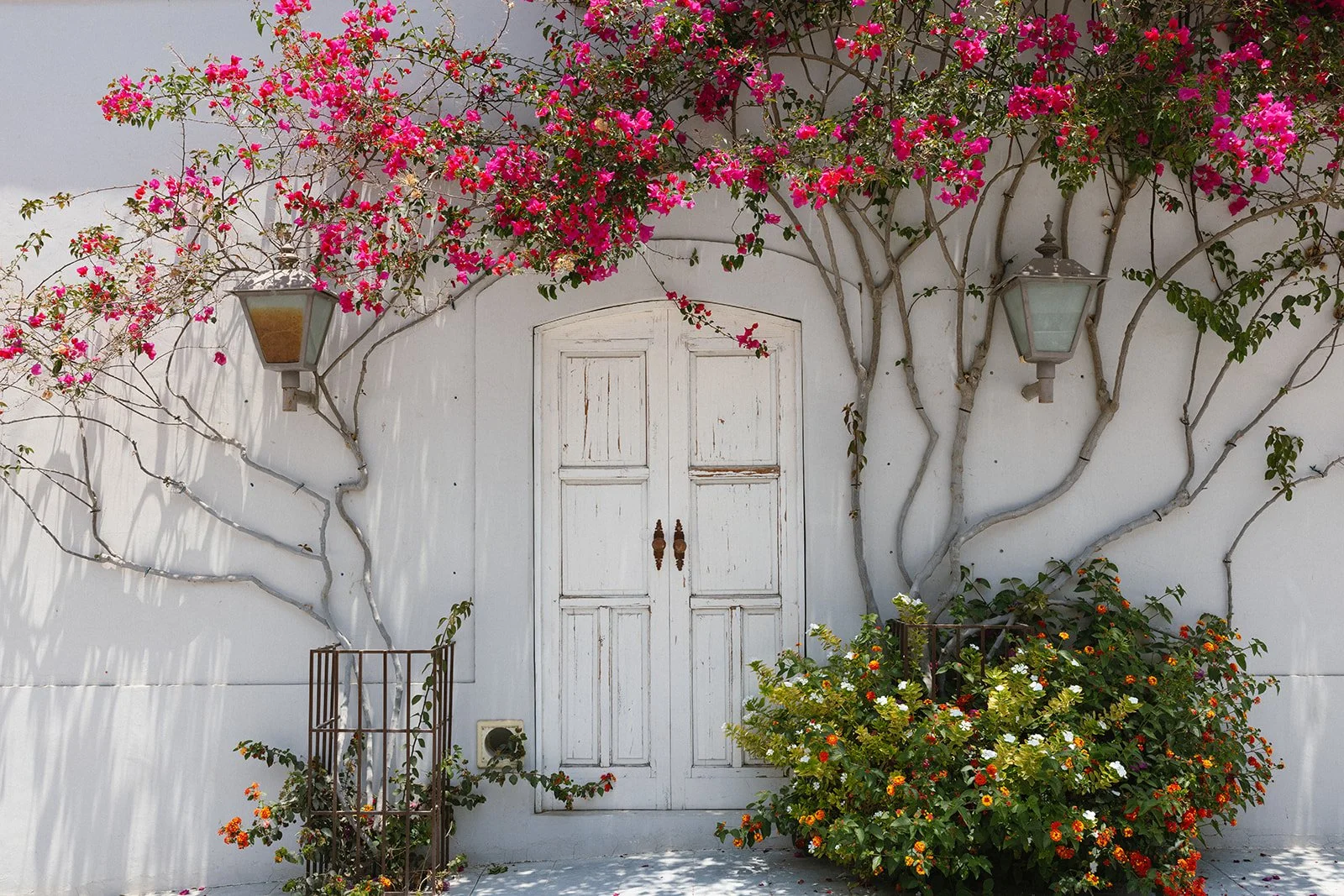 ornella jacques villa santa cruz wedding todos santos-4.jpg