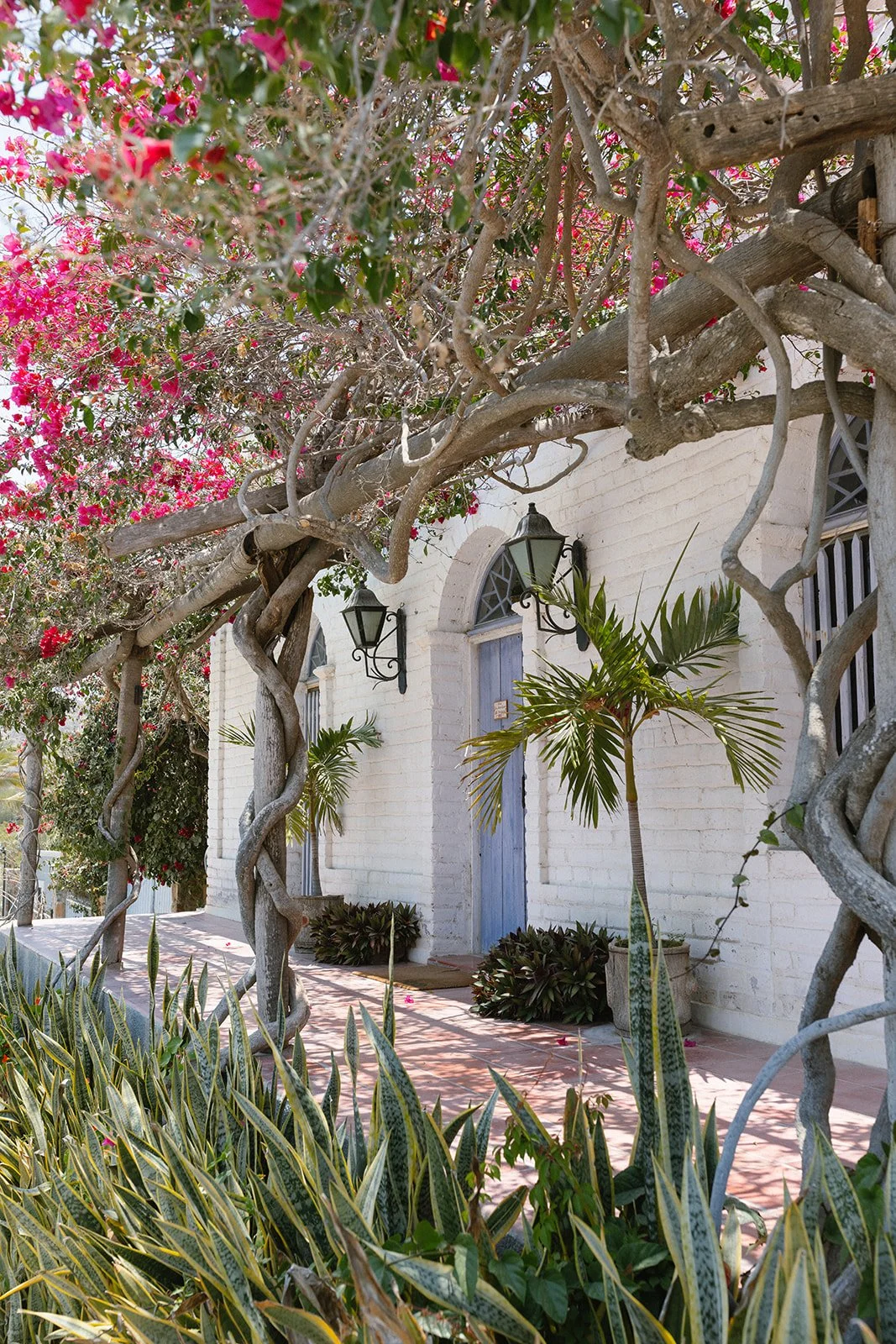 ornella jacques villa santa cruz wedding todos santos-8.jpg
