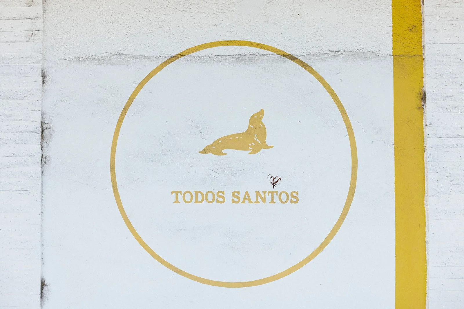 ornella jacques villa santa cruz wedding todos santos-16.jpg
