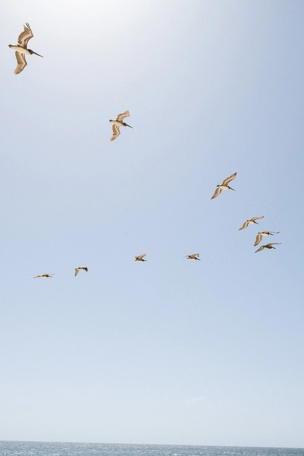 KZ9_7378.jpg