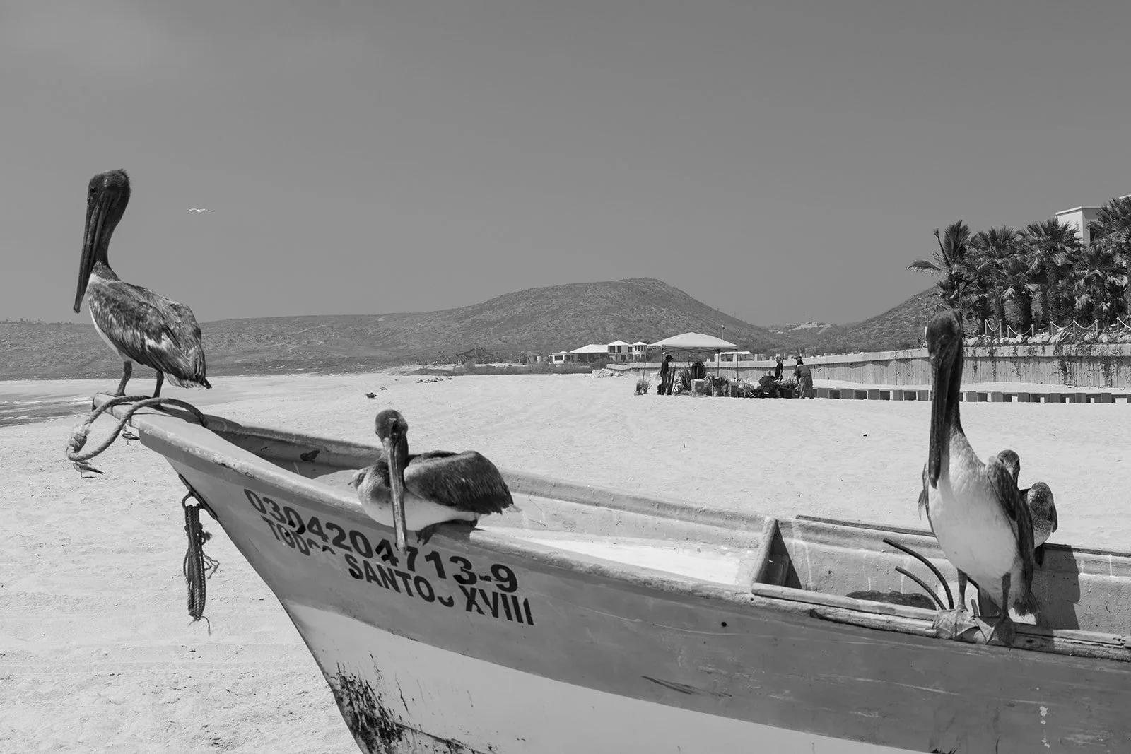 Behind the lens in Todos Santos