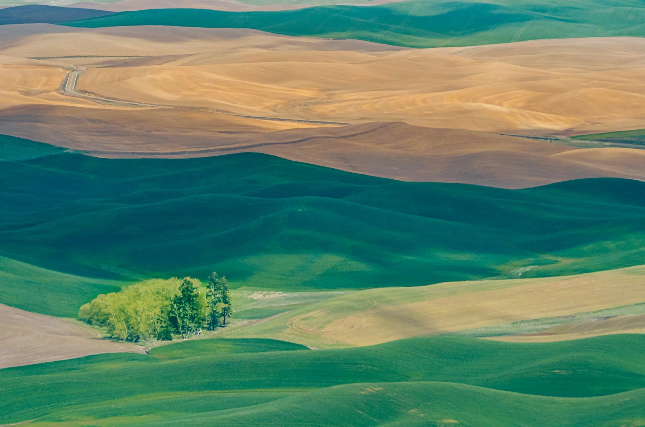 260428_SteptoeButte_Dad_006.jpg