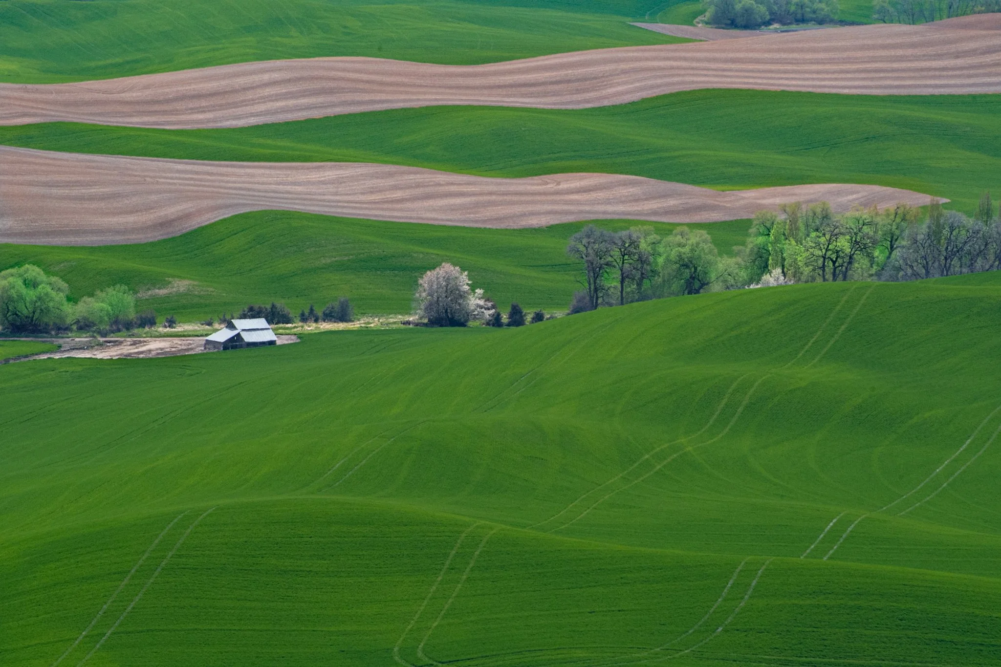 260428_SteptoeButte_Dad_070.jpg