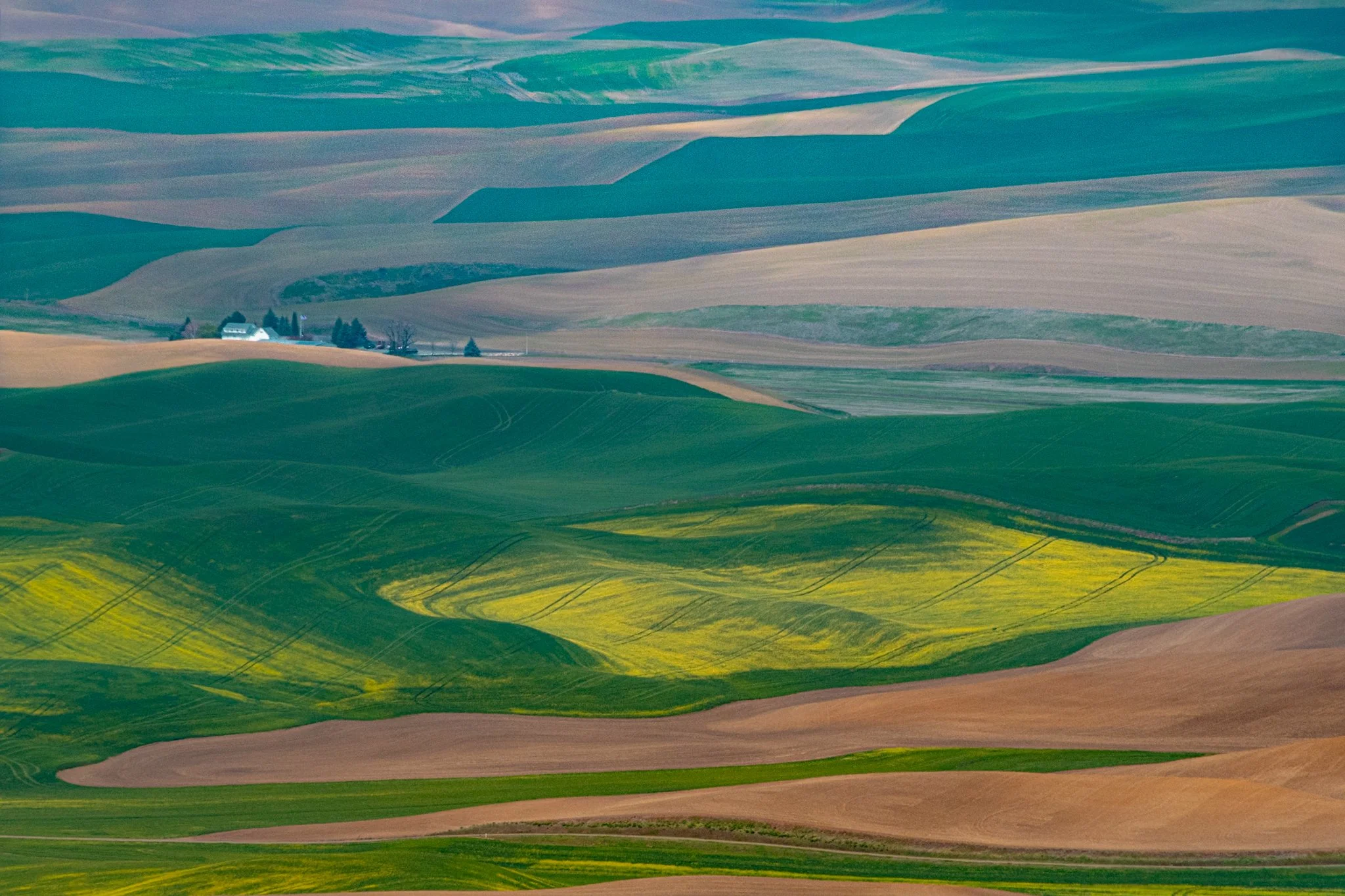 260428_SteptoeButte_Dad_018.jpg
