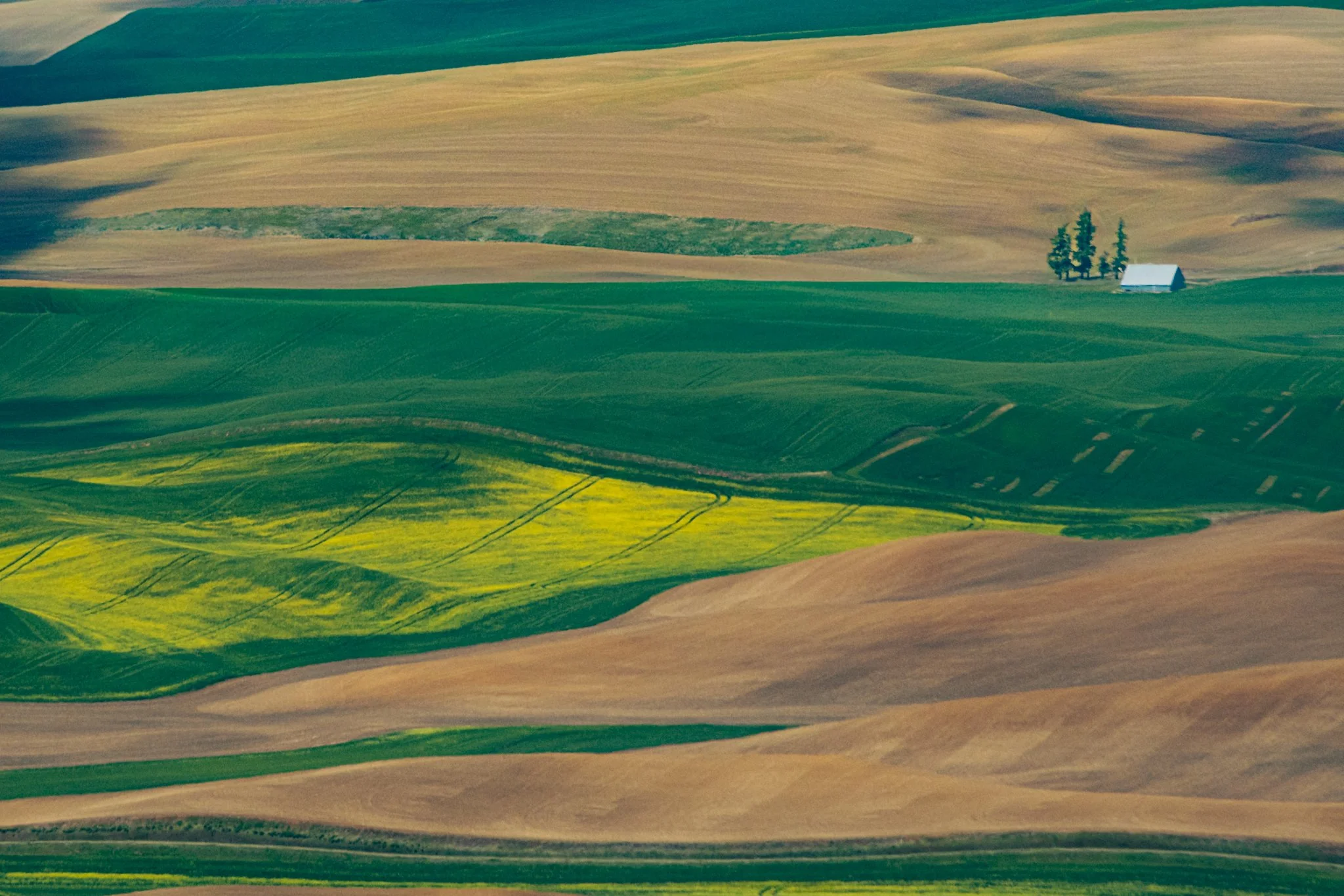260428_SteptoeButte_Dad_057.jpg