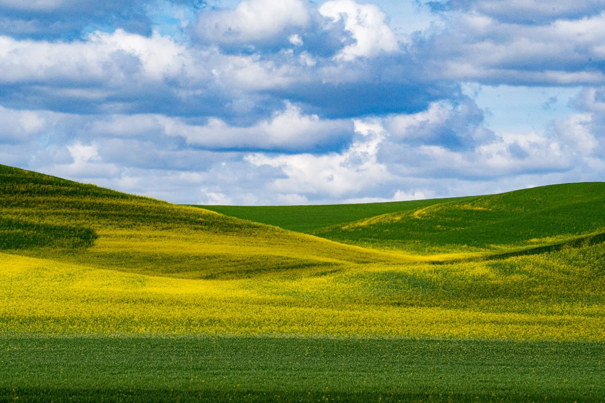 260428_SteptoeButte_Dad_083.jpg