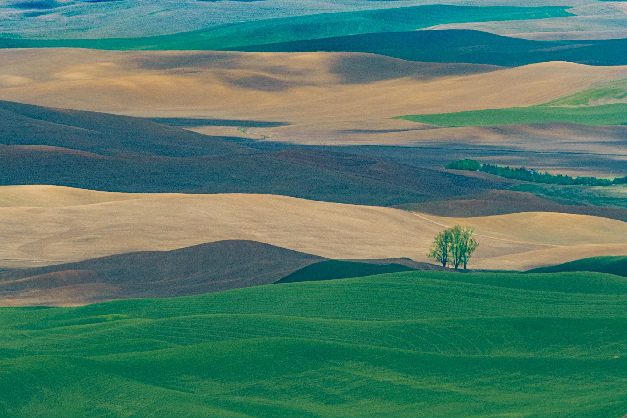 260428_SteptoeButte_Dad_056.jpg