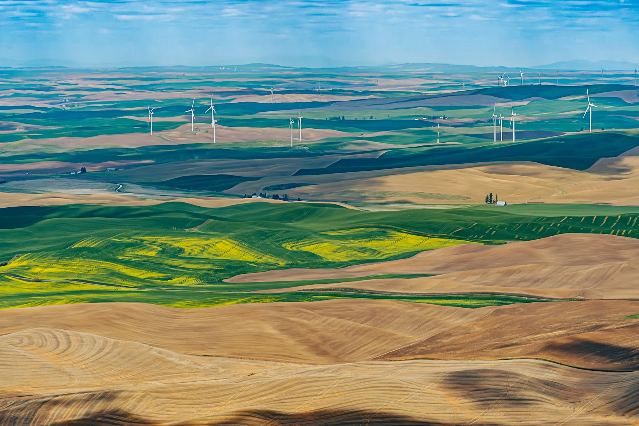 260428_SteptoeButte_Dad_026.jpg