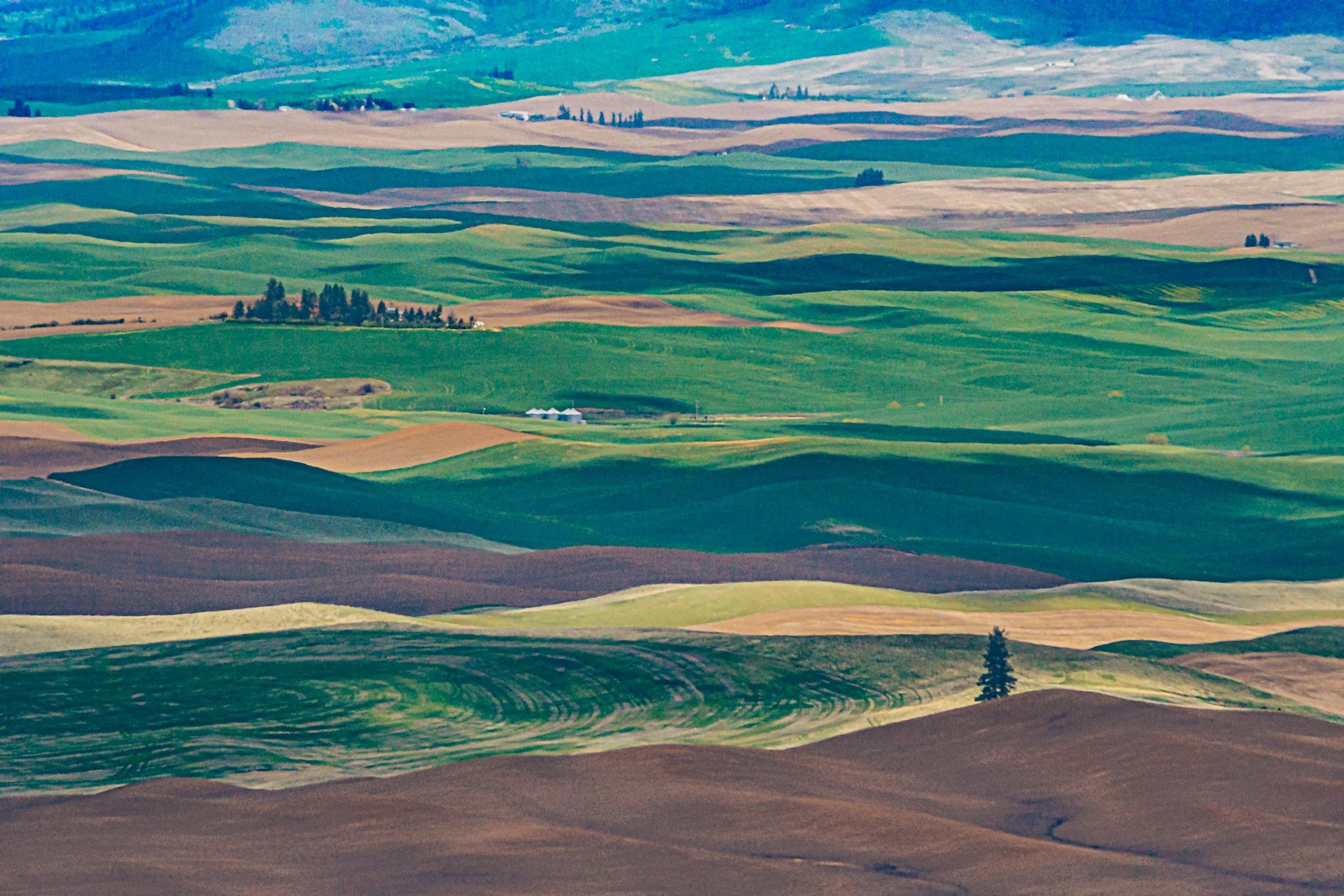 260428_SteptoeButte_Dad_014.jpg