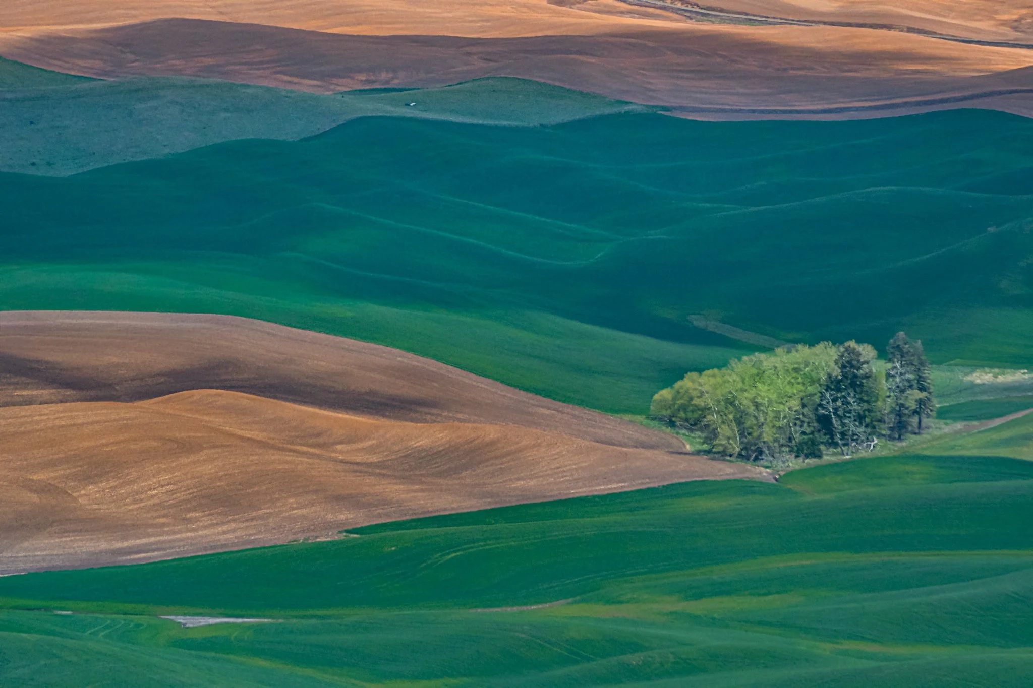 260428_SteptoeButte_Dad_005.jpg