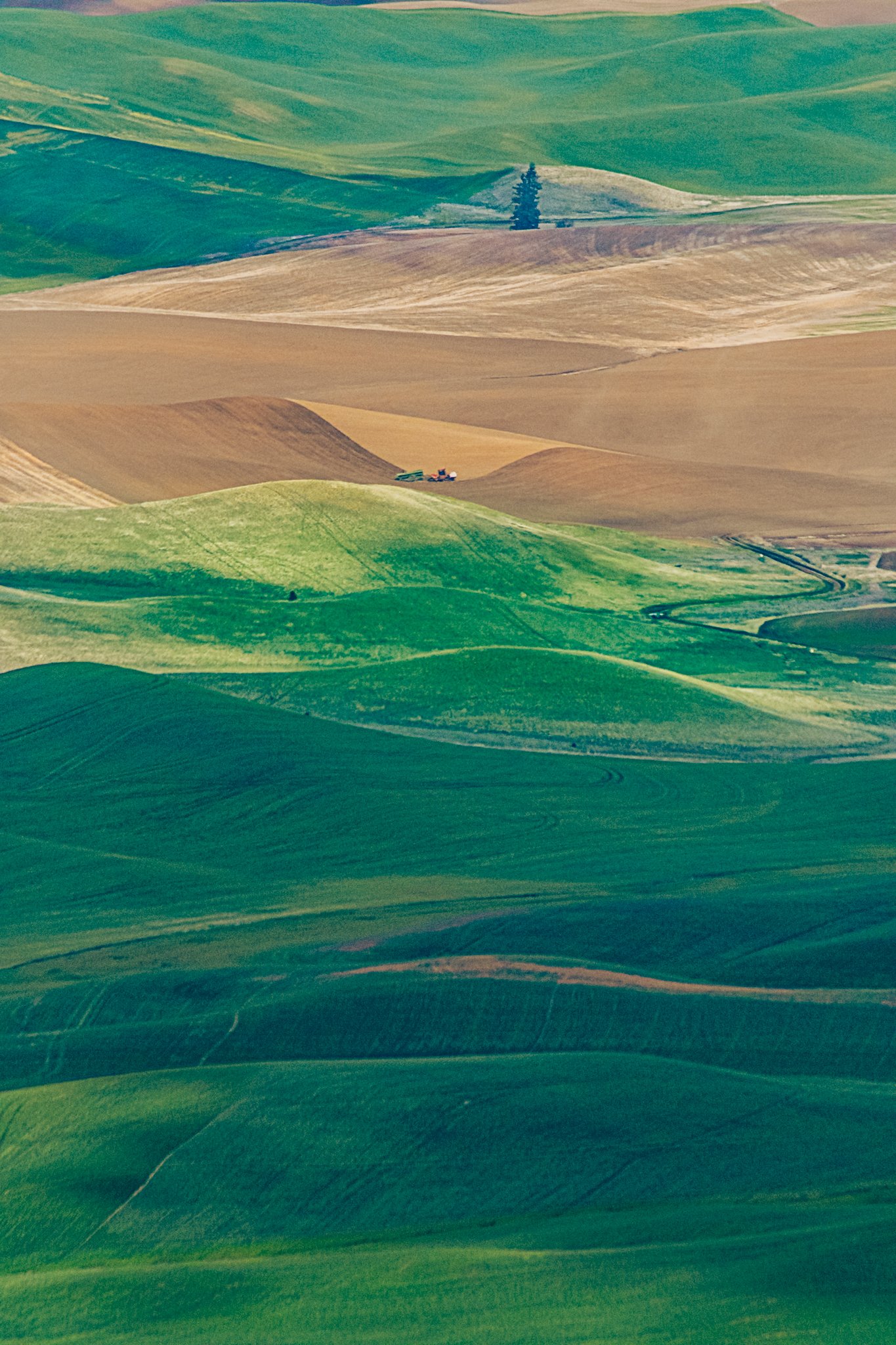 260428_SteptoeButte_Dad_052.jpg